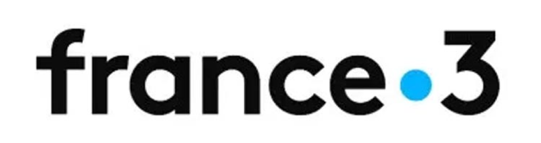 Sintegra Consulting - France 3